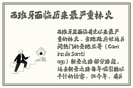 2020厕拍最新